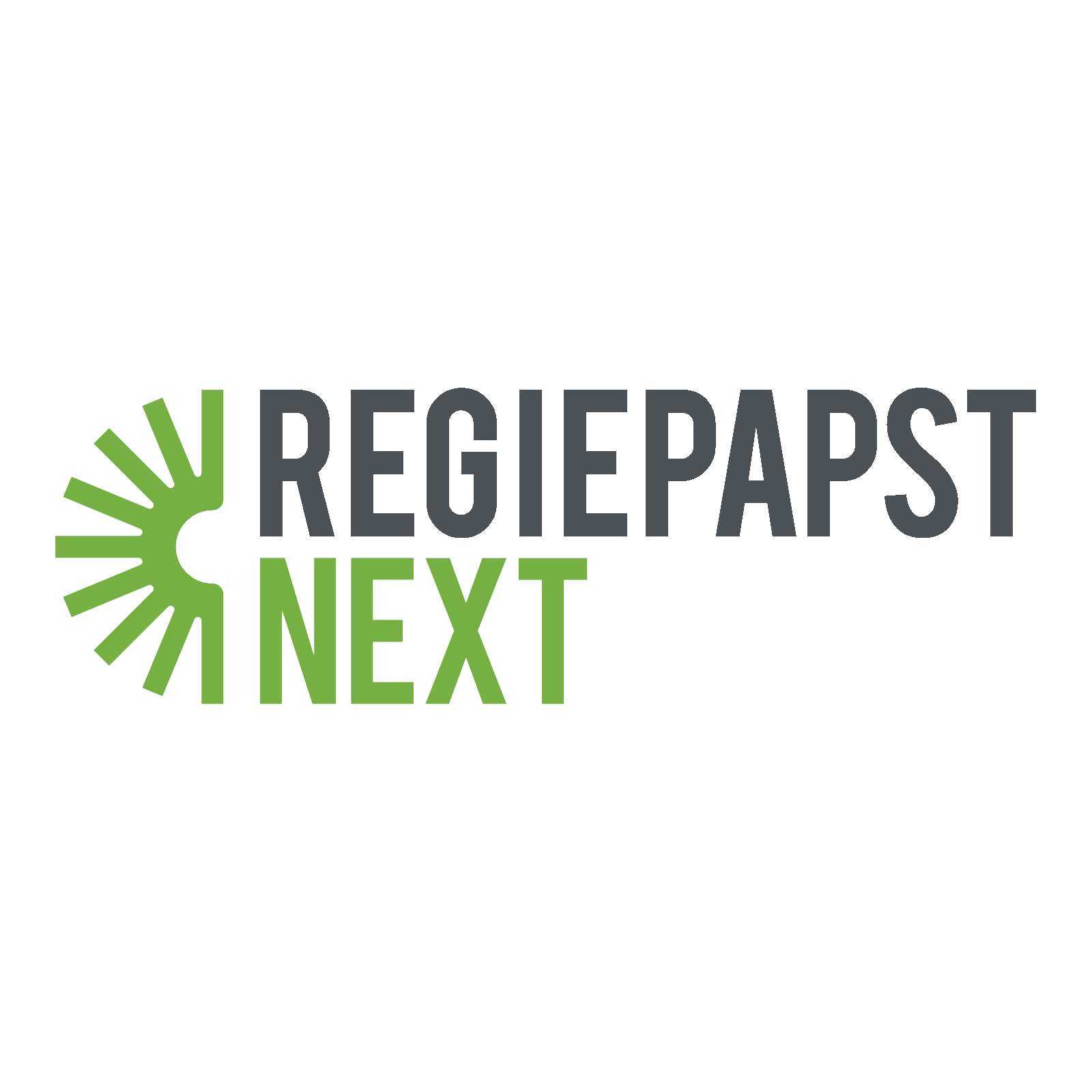 REGIEPAPST NEXT Logo